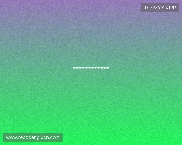 博狗官网正式上线，全面升级用户体验引领行业新风尚