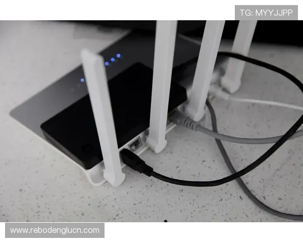 半岛的网址安全访问方法与常见网络问题解决方案，保障玩家账号安全